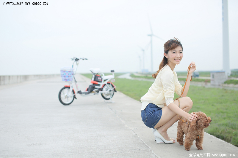 绿源美人记第3季 低调内敛个性版电动车