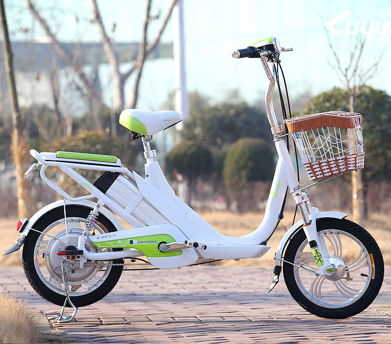 绿源电动车JK-4R4812L-Z1-飞扬图片