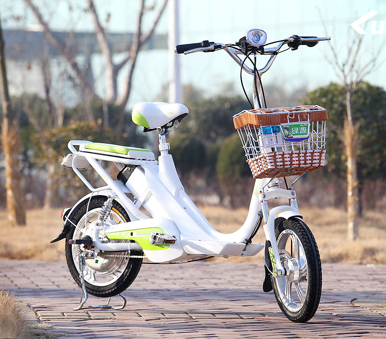绿源电动车JK-4R4812L-Z1-飞扬图片