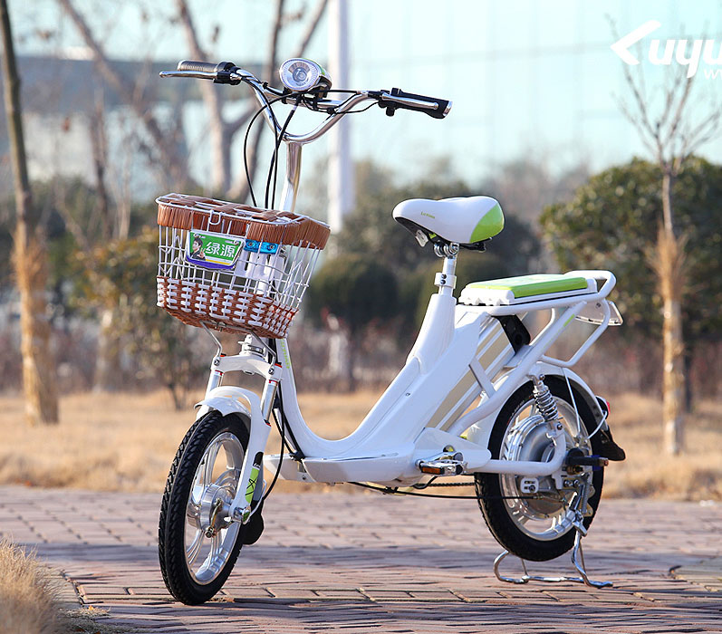 绿源电动车JK-4R4812L-Z1-飞扬图片