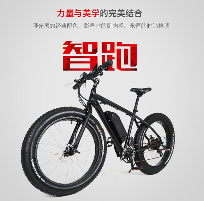 智跑智跑图片