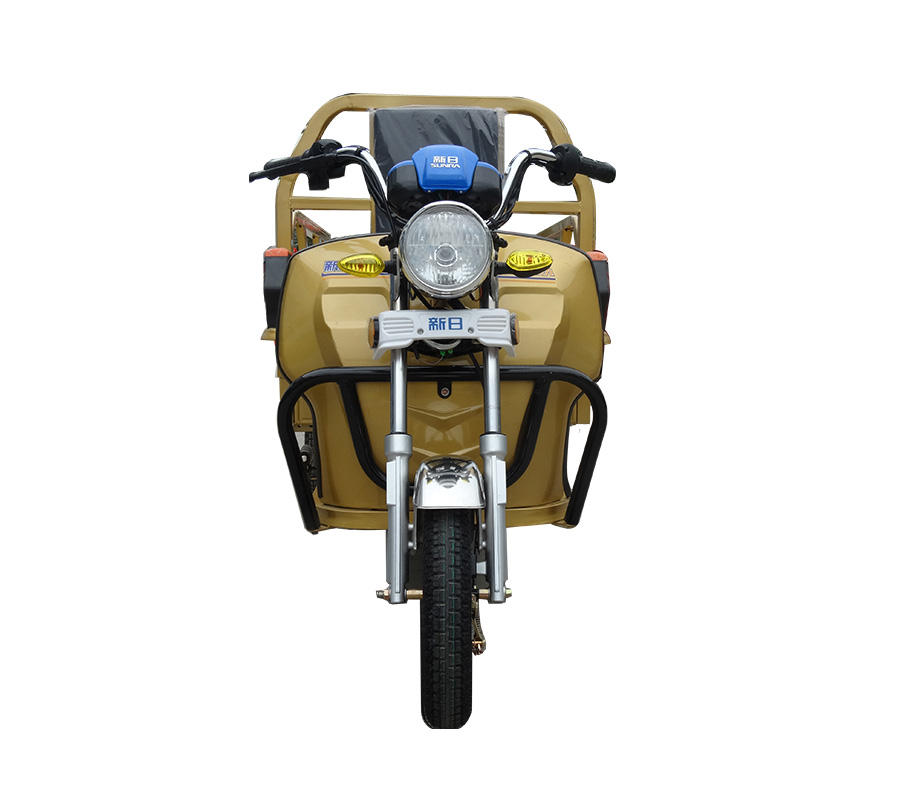 新日电动车奔马3S图片