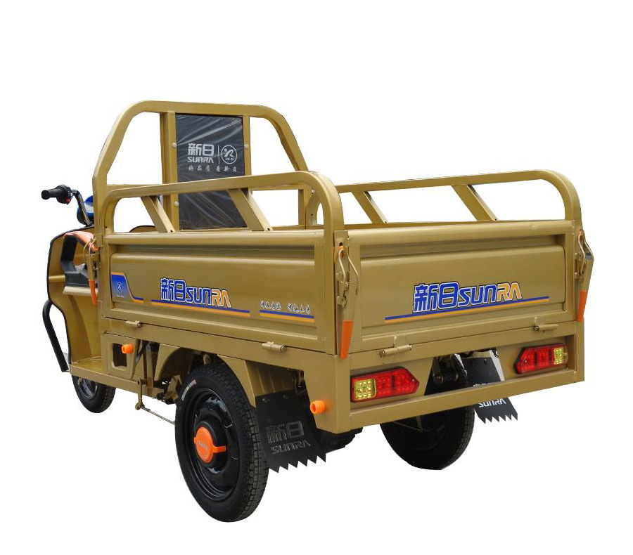 新日电动车奔马3S图片