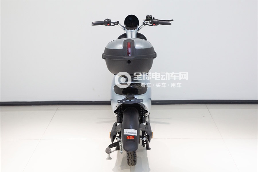 爱玛电动车C102图片
