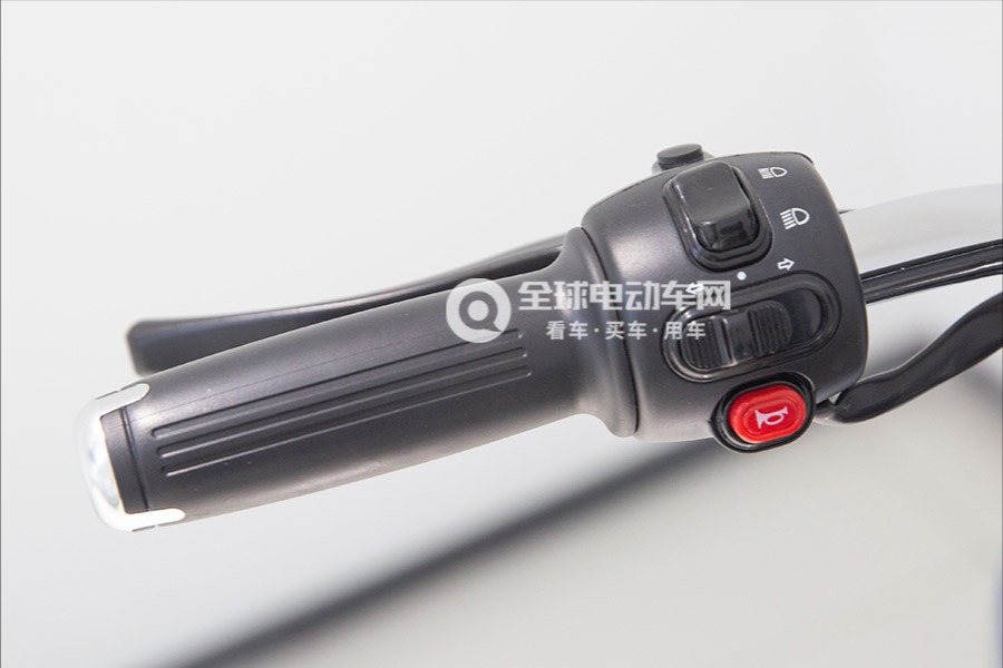 爱玛电动车C102图片