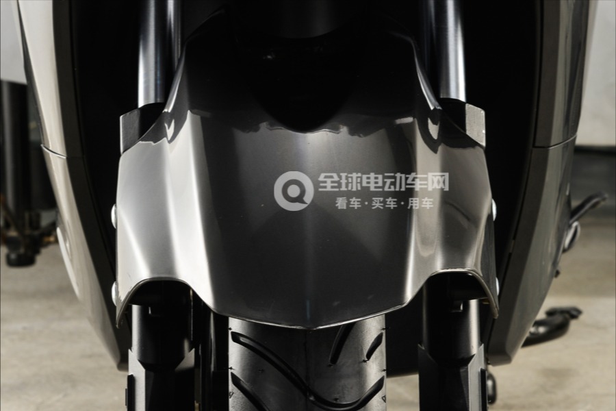 五星钻豹电动车逍客图片