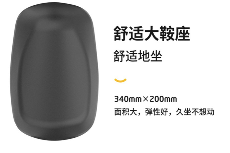 新日电动车XC2图片