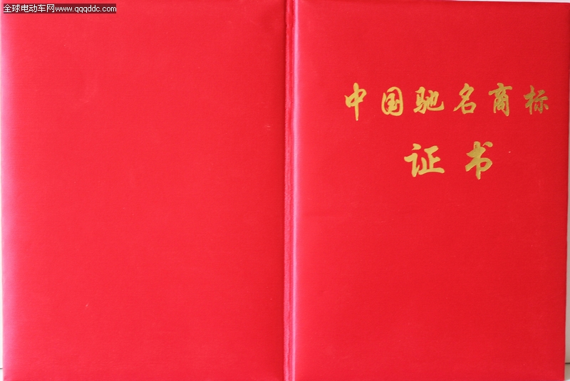踏浪电动车中国驰名商标与社会公益活动图片集