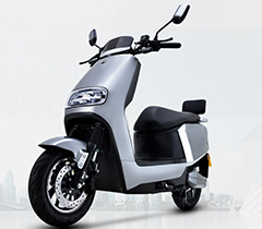 新日电动车-RC6